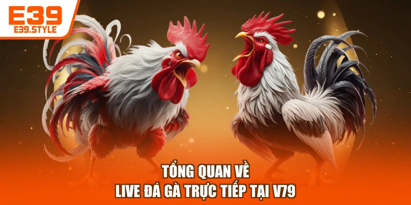 Tổng quan về live đá gà trực tiếp tại E39